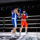 버팔로복싱짐 이미지