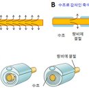 뇌과학 - 인공지능과 우리(5) 뇌의 ‘가소성’ 이미지