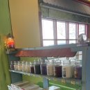 허브나무 이미지