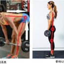 대연 헬스 이미지