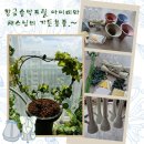 메디칼정성약국 이미지