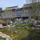 일등급영어 | 중국제남여행, 다와 지난 다밍호, 아코르플래티넘 등급, 녹물 이슈로 8호 코트야드 호텔 워킹서비스 후기