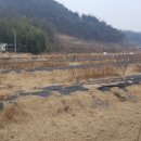 덕곡농장 이미지