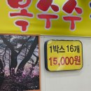 마산옥수수찐빵