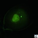 백현 동물병원 이미지