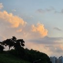 스시류 - 대덕구 송촌북로12번길 11 | 스시류