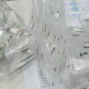 형제카독크 이미지