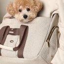 분당수내365의원 이미지