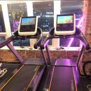 코카머슬로즈PT 이미지