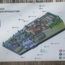 아잘리아그린 이미지