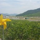 노무현대통령생가 이미지