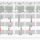 크라운 행정사 이미지