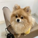 옥희미용실 이미지