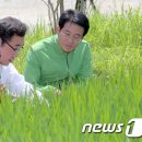 김한식농장 이미지