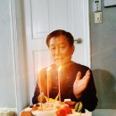 파리바게트성대 네이버블로그