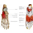 머슬필라테스 이미지