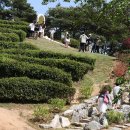 한국차문화공원 Daum카페