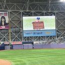 연천-1 | 0831 불꽃야구 연천미라클 직관 후기, 고척스카이돔 1루 202구역 시야