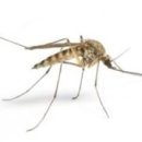 어울림 동물병원 이미지