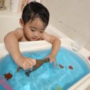 잉어물놀이 이미지