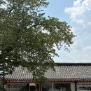 진현로(남) 이미지