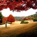 기안초교 이미지