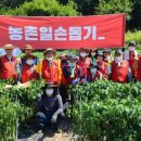 사과랑 고추랑 이미지