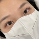 사림동129 | [ 창원 사림동 ] 창원대 근처 꼼꼼하고 실력 좋은 속눈썹 펌, 연장 뷰티 올리브 : 펌 포인트 연장