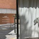 동네커피 앞 횡단보도 | 봉천동카페 고로커피로스터스 서울대입구 햇살 좋은 카페 후기