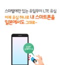 유심 하나로 LTE데이터+전화+문자 모두 가능한 스마텔 HIKARI SIM 이미지