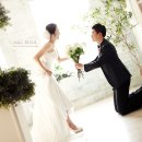 수원-0221 Daum카페