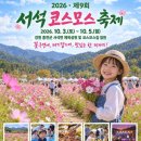 "꽃구경만 하는 축제인 줄 알았는데"… 맨손으로 황금메기까지 잡는 코스모스 축제 이미지