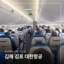A220 | 김해에서 김포 비행기 김해공항 국내선 대한항공 A220-300 후기