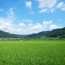 순천목장 이미지