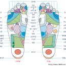 발 마사지-피로회복과 정력에좋은 발 마사지법/발가락 마사지효과 이미지