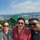 거제도애광원 이미지