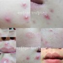 비컴파운드 | 건강해야 덕질도 한다 - 요즘 먹는 영양제들 (ft.아이허브) , 우리 엄마 하나미비컴궁 간증 업데이트