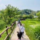 트인아이유치원 이미지