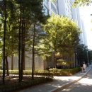 장안근린공원 내 이미지