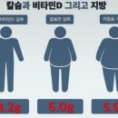 필라테스355애비뉴 네이버블로그
