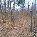 수원팔색길 효행길 이미지