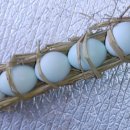 청계농장 이미지