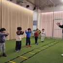 테니스맥스