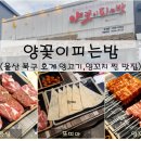 양꽃