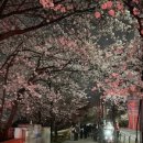 신정중앙로 이미지