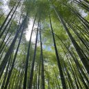 튼튼아이태권도 이미지