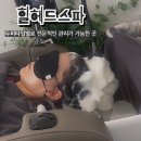 더원만촌점 | [대구 만촌동 탈모관리] 힐헤드스파에서 두피 타입별로 관리 받고 온 후기
