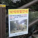 안덕면 안덕우체국 옆 | [서귀포 가볼만한 곳] 안덕계곡 트레킹 같은 산책길🚶‍♀️짧지만 강렬한 숲길
