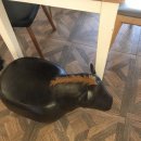 아망드크렘 | 충남 공주 귀여운 디저트 맛집 공산성 카페: 메리봉봉 공산성점