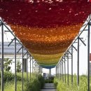 국립아시아문화전당 이미지